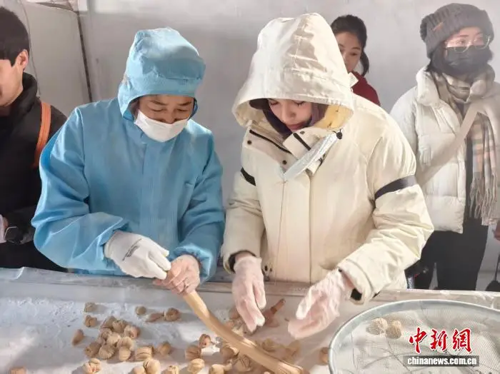 上合組織國家留學(xué)生走進上合示范區(qū) 感受十足“中國年味”