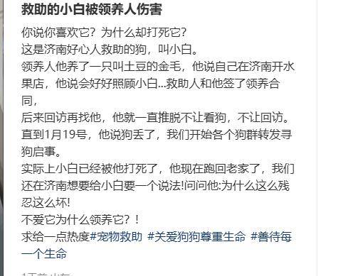 當(dāng)街虐貓勒索800元：法律沉默時(shí)，善良必須支付贖金嗎？
