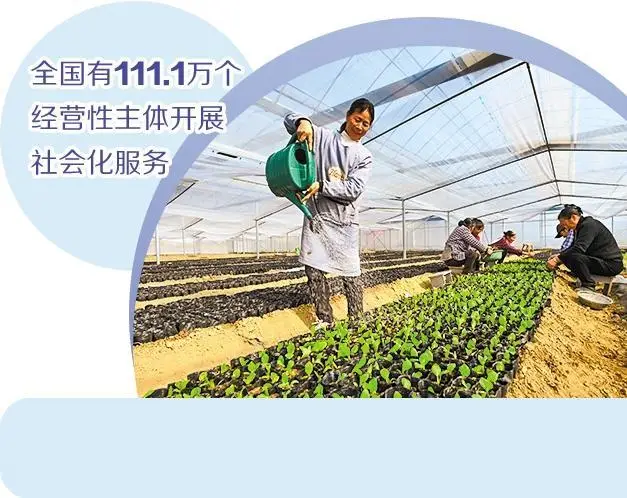 農(nóng)業(yè)社會化服務(wù)行業(yè)快速崛起