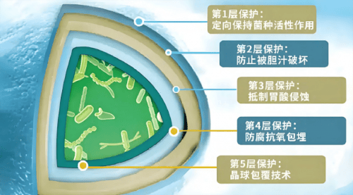 專利為矛，科技為盾：多燕瘦以SJP技術(shù)體系樹立健康行業(yè)科技化新范本