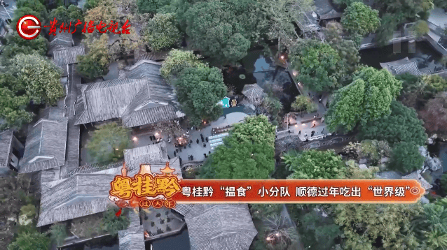 粵桂黔過大年丨“揾食”小分隊喝茶、看戲、吃美食，過年一起尋味順德