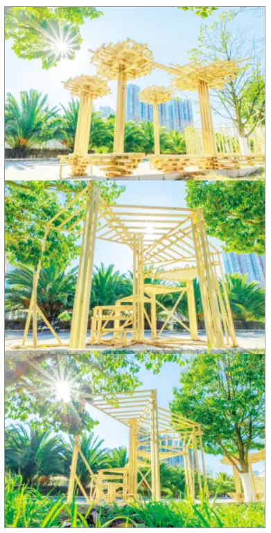 大學(xué)新生期末答卷“木”力全開