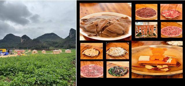 花海配美食，奔跑更帶勁 | 2026曲靖羅平花海馬拉松美食攻略，請查收！