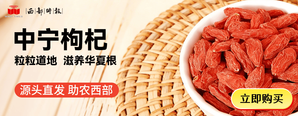 踩靖國(guó)神社紅線？日本知名游戲動(dòng)漫IP“寶可夢(mèng)”，道歉！