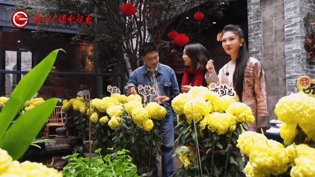 粵桂黔過大年丨“揾食”小分隊喝茶、看戲、吃美食，過年一起尋味順德