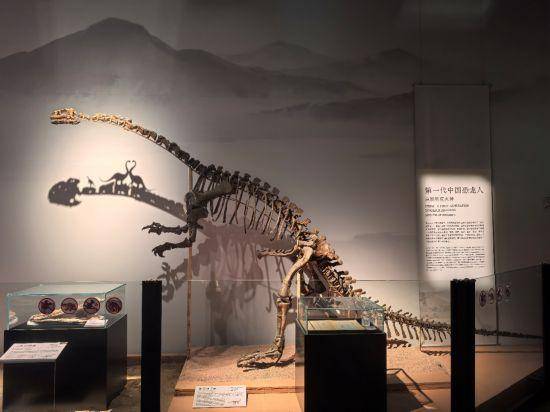 收藏！滬上各大博物館馬年春節(jié)觀展攻略