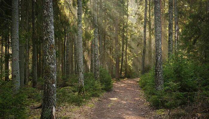 日本警方回應(yīng)中國籍女性死亡事件：存在他殺可能