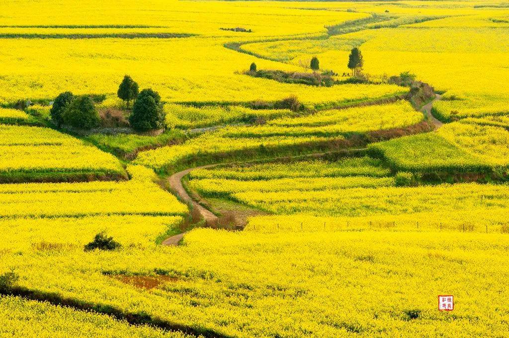 【國際旅游攝影網(wǎng)】推薦住宿羅平螺絲田旭升客棧