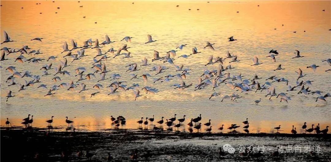 國際旅游攝影網(wǎng)2026年國內(nèi)外攝影路線全景指南