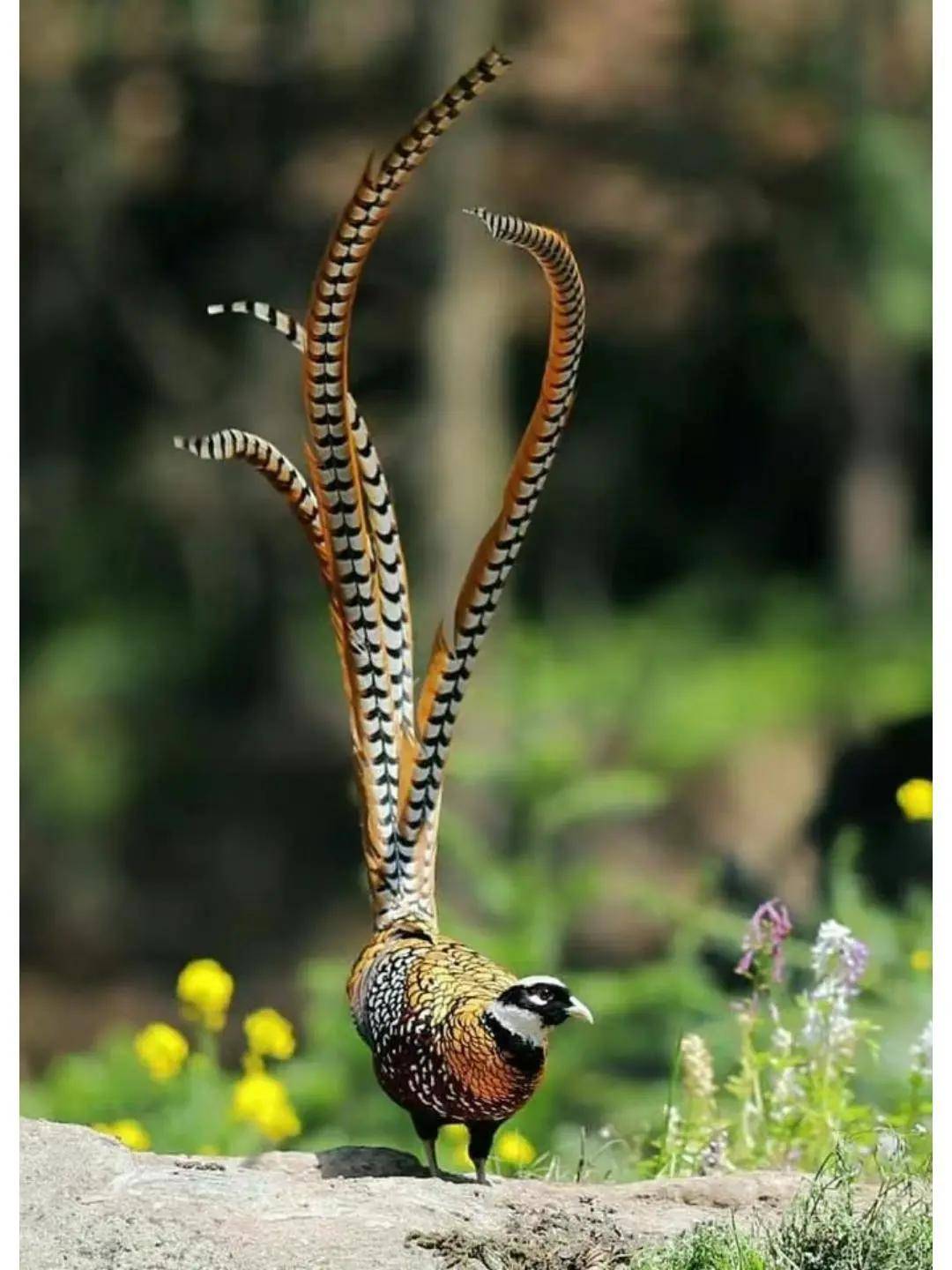 國際旅游攝影網(wǎng)2026年國內(nèi)外攝影路線全景指南