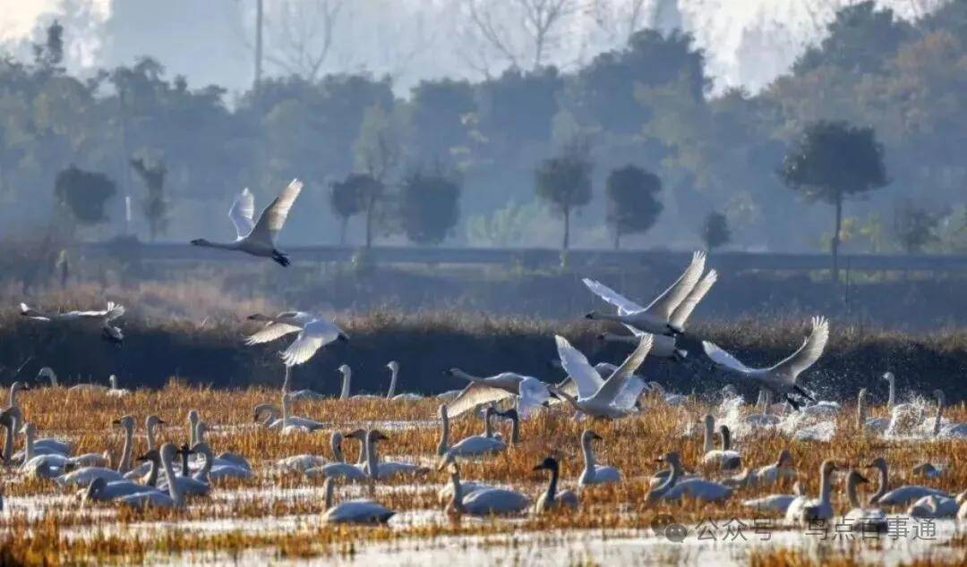 國際旅游攝影網(wǎng)2026年國內(nèi)外攝影路線全景指南