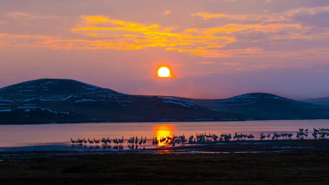 國際旅游攝影網(wǎng)2026年國內(nèi)外攝影路線全景指南