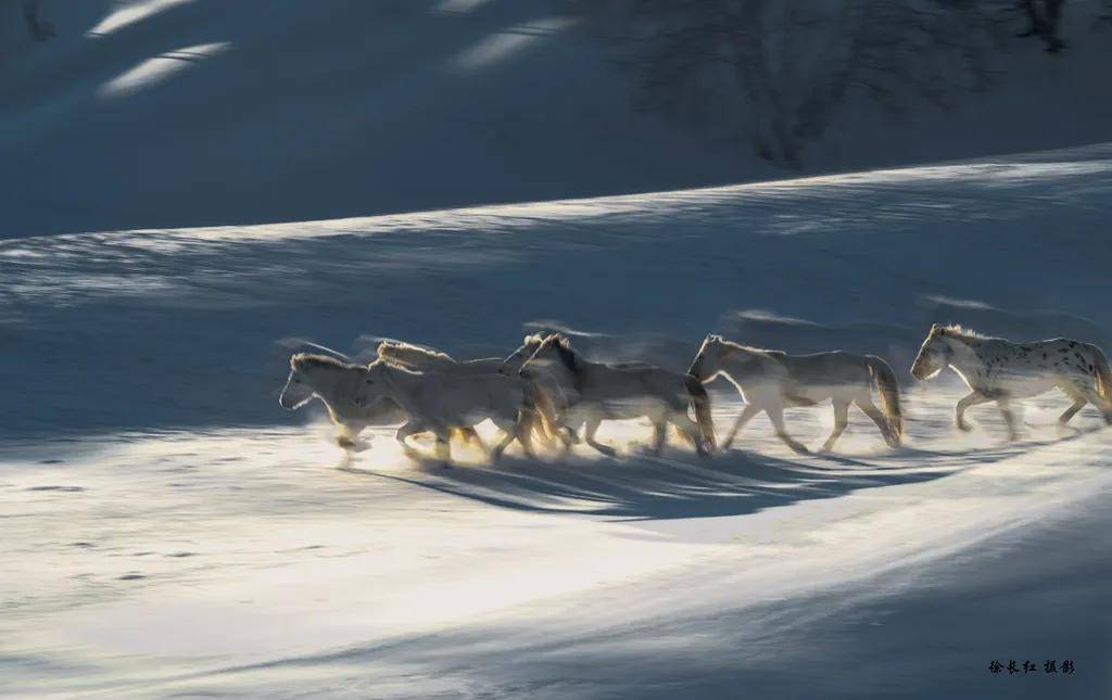 國際旅游攝影網(wǎng)2026年國內(nèi)外攝影路線全景指南