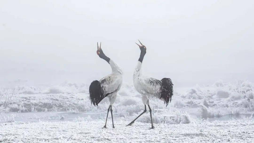 國際旅游攝影網(wǎng)2026年國內(nèi)外攝影路線全景指南