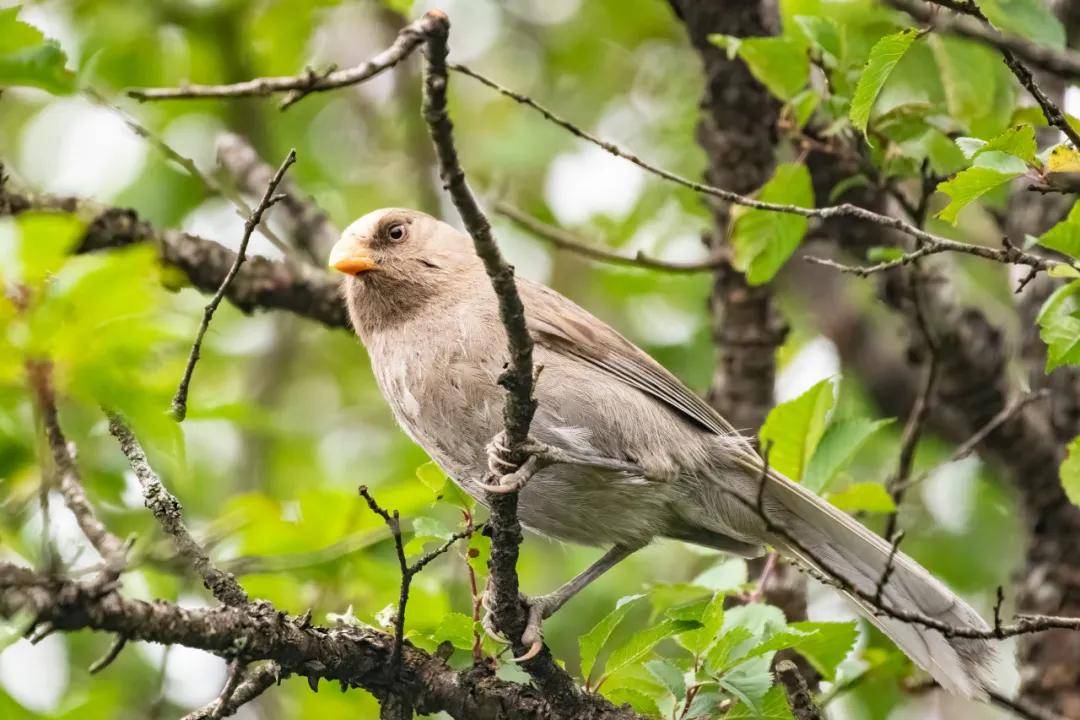 國際旅游攝影網(wǎng)2026年國內(nèi)外攝影路線全景指南