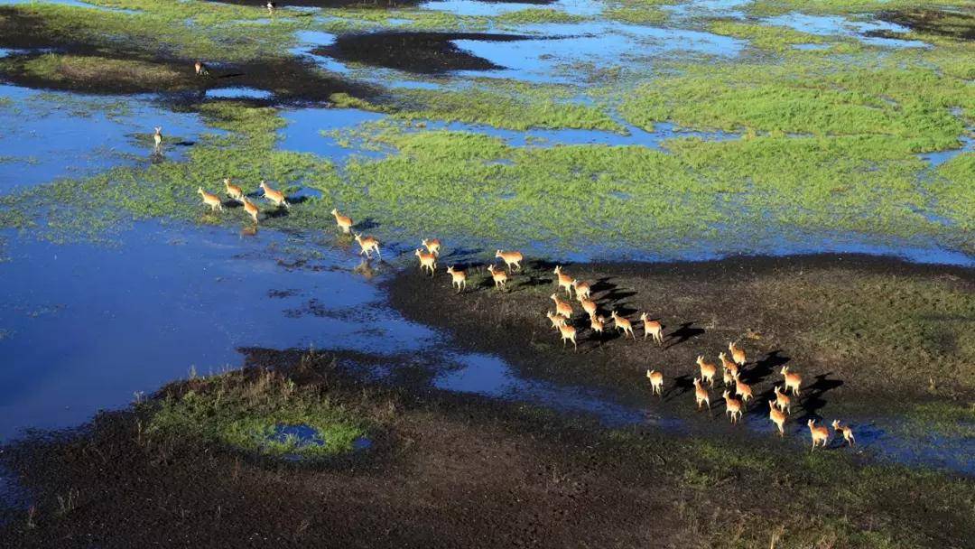 國際旅游攝影網(wǎng)2026年國內(nèi)外攝影路線全景指南