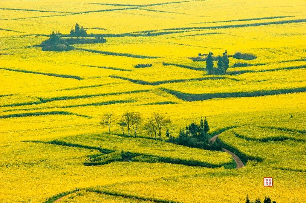 【國際旅游攝影網(wǎng)】推薦住宿羅平螺絲田旭升客棧