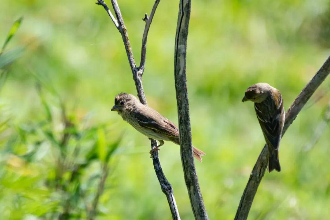 國際旅游攝影網(wǎng)2026年國內(nèi)外攝影路線全景指南