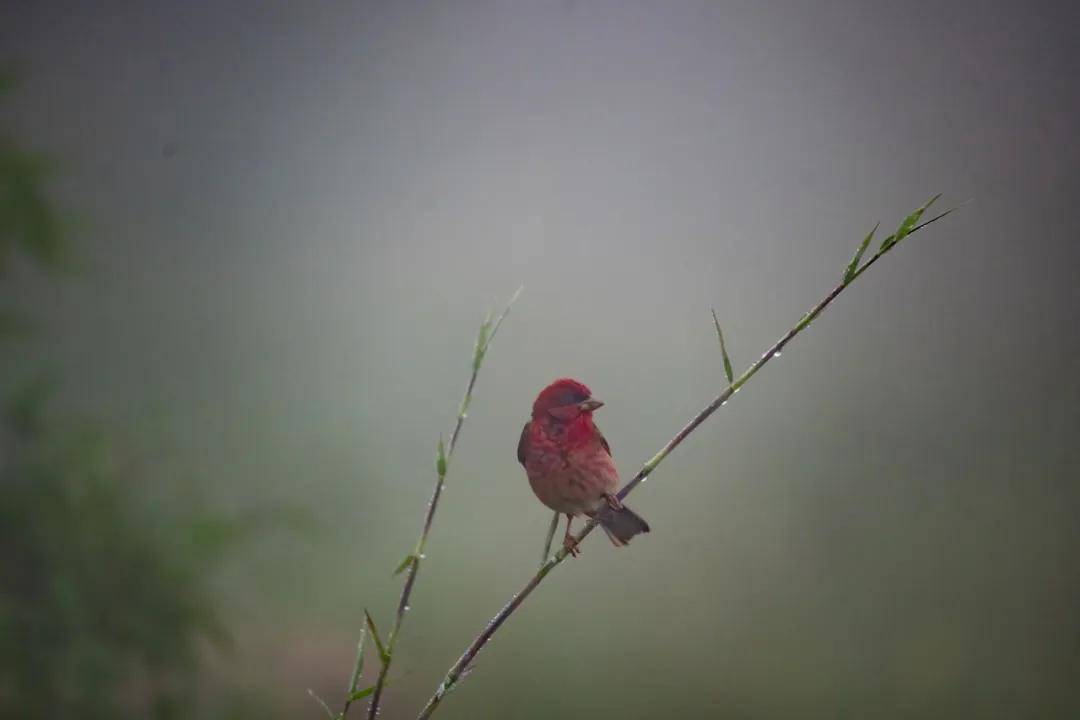 國際旅游攝影網(wǎng)2026年國內(nèi)外攝影路線全景指南