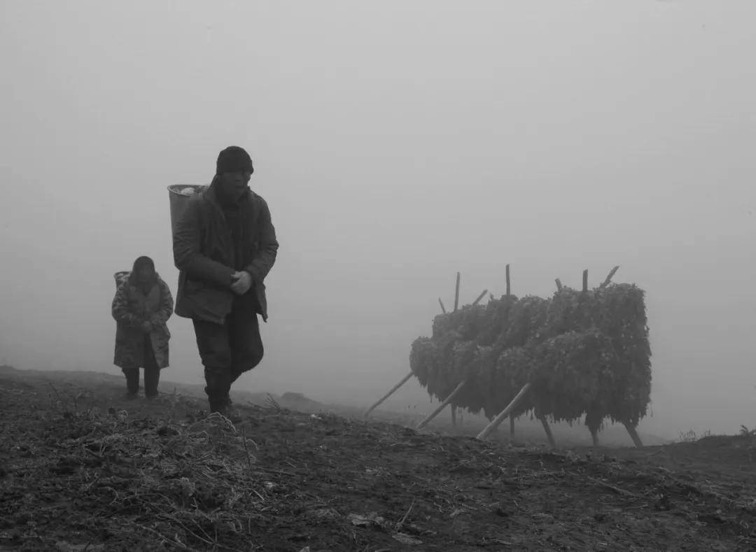 國際旅游攝影網(wǎng)2026年國內(nèi)外攝影路線全景指南