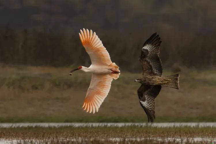 國際旅游攝影網(wǎng)2026年國內(nèi)外攝影路線全景指南