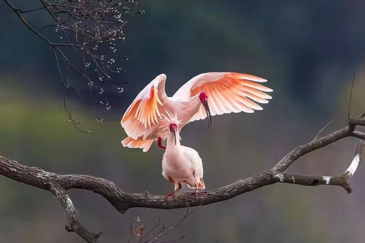 國際旅游攝影網(wǎng)2026年國內(nèi)外攝影路線全景指南