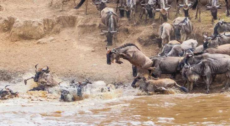 國際旅游攝影網(wǎng)2026年國內(nèi)外攝影路線全景指南