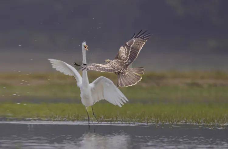 國際旅游攝影網(wǎng)2026年國內(nèi)外攝影路線全景指南