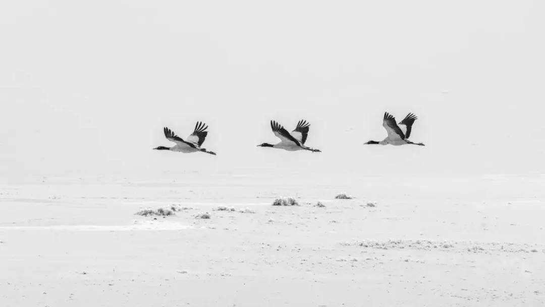 國際旅游攝影網(wǎng)2026年國內(nèi)外攝影路線全景指南