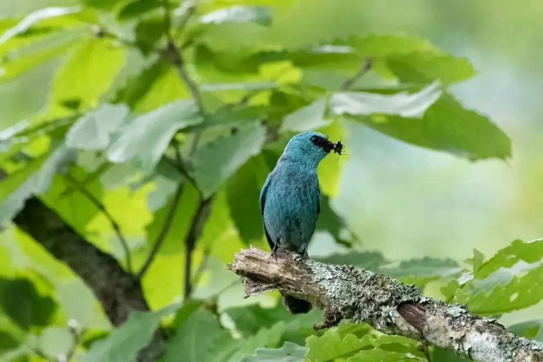 國際旅游攝影網(wǎng)2026年國內(nèi)外攝影路線全景指南