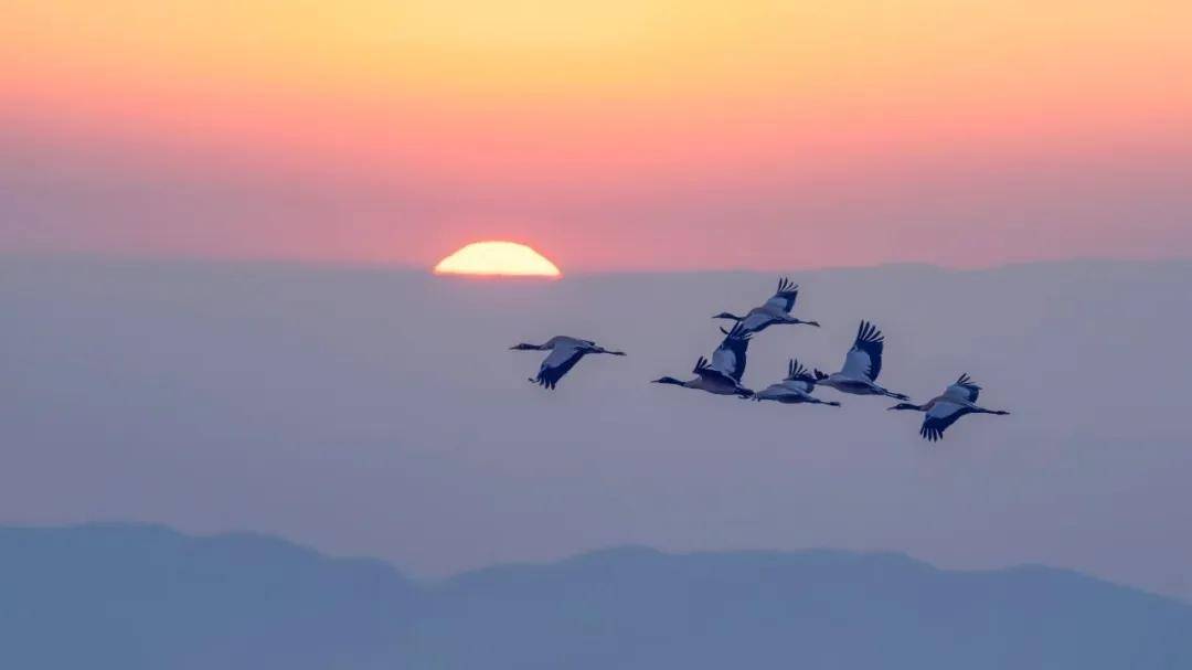 國際旅游攝影網(wǎng)2026年國內(nèi)外攝影路線全景指南