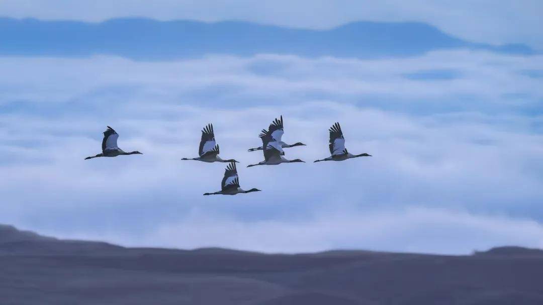 國際旅游攝影網(wǎng)2026年國內(nèi)外攝影路線全景指南