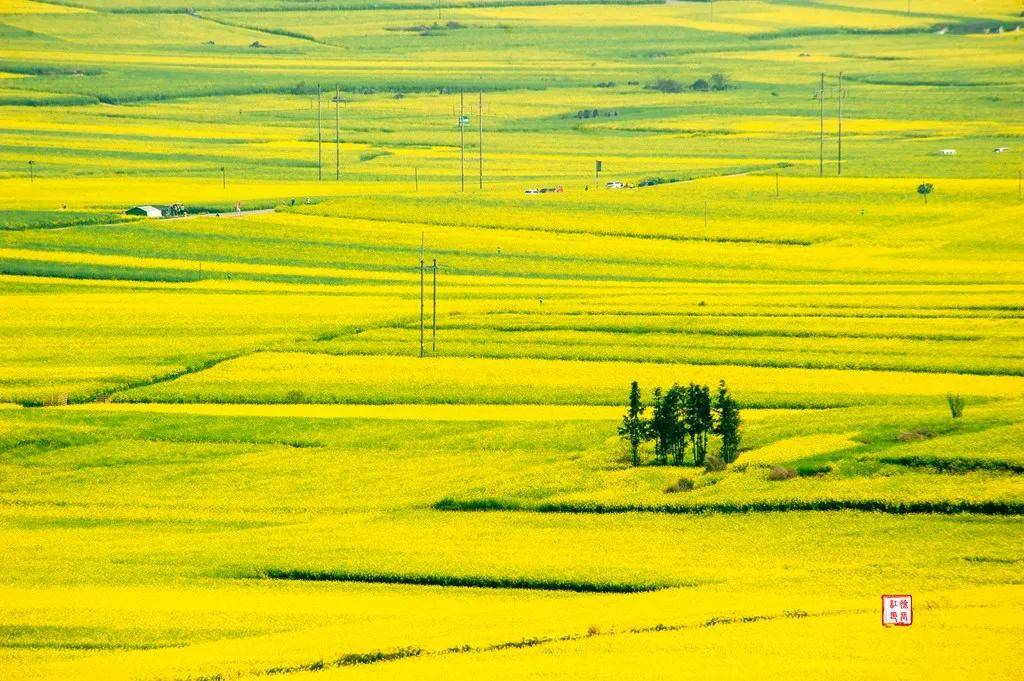 【國際旅游攝影網(wǎng)】推薦住宿羅平螺絲田旭升客棧