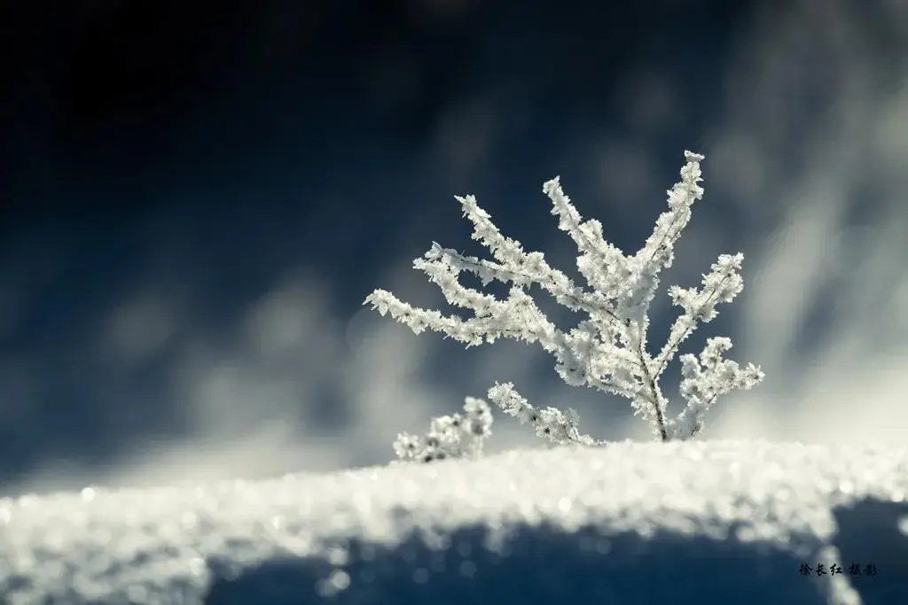 國際旅游攝影網(wǎng)2026年國內(nèi)外攝影路線全景指南