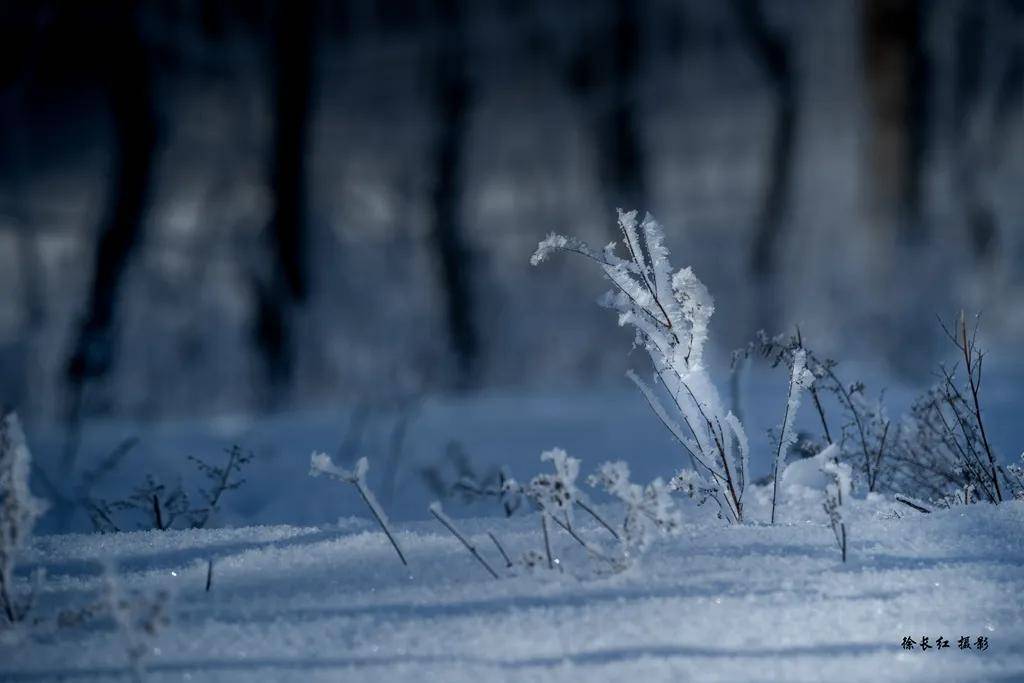 國際旅游攝影網(wǎng)2026年國內(nèi)外攝影路線全景指南