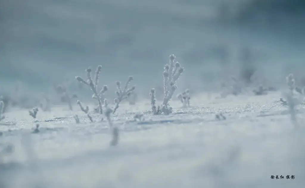 國際旅游攝影網(wǎng)2026年國內(nèi)外攝影路線全景指南