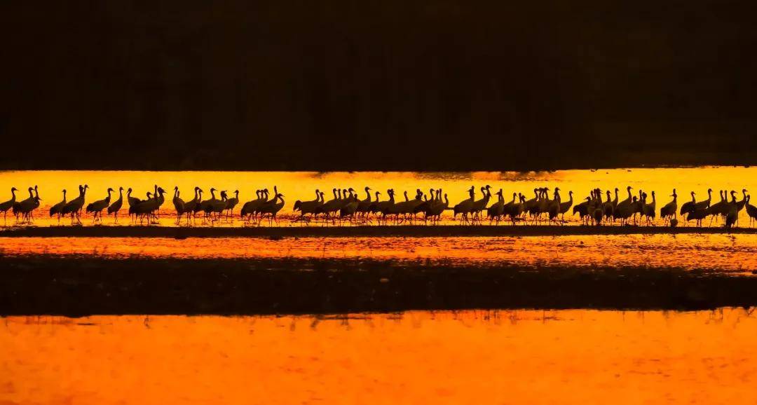 國際旅游攝影網(wǎng)2026年國內(nèi)外攝影路線全景指南