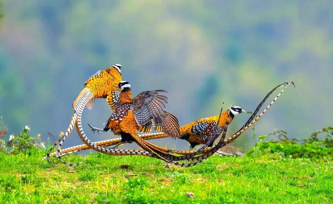 國際旅游攝影網(wǎng)2026年國內(nèi)外攝影路線全景指南