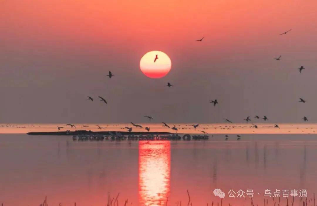 國際旅游攝影網(wǎng)2026年國內(nèi)外攝影路線全景指南