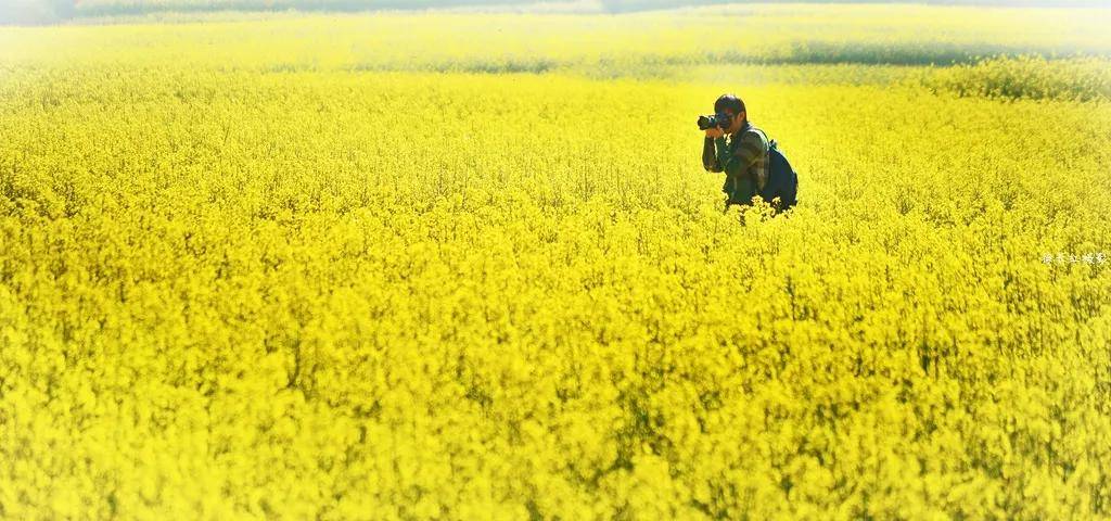 【國際旅游攝影網(wǎng)】推薦住宿羅平螺絲田旭升客棧