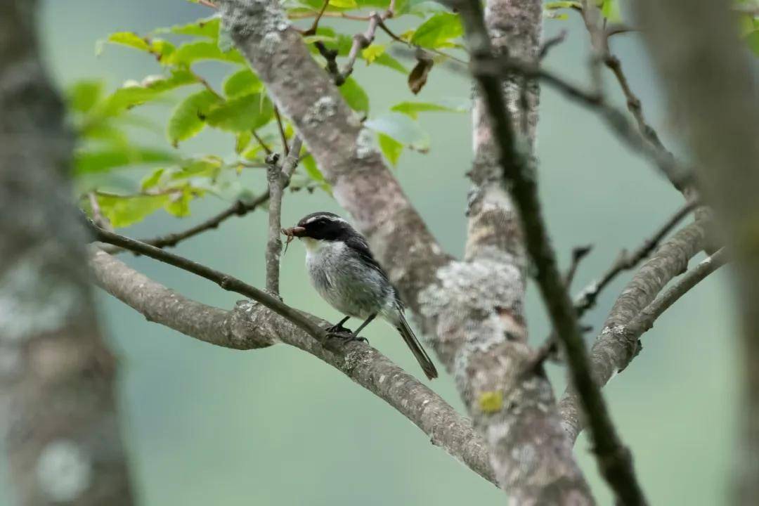 國際旅游攝影網(wǎng)2026年國內(nèi)外攝影路線全景指南