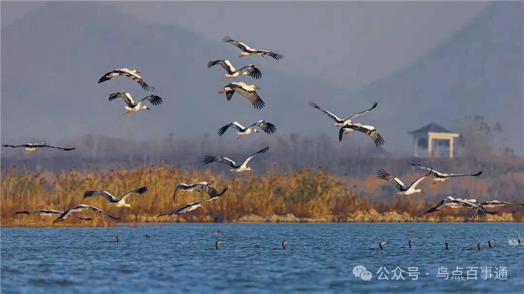 國際旅游攝影網(wǎng)2026年國內(nèi)外攝影路線全景指南