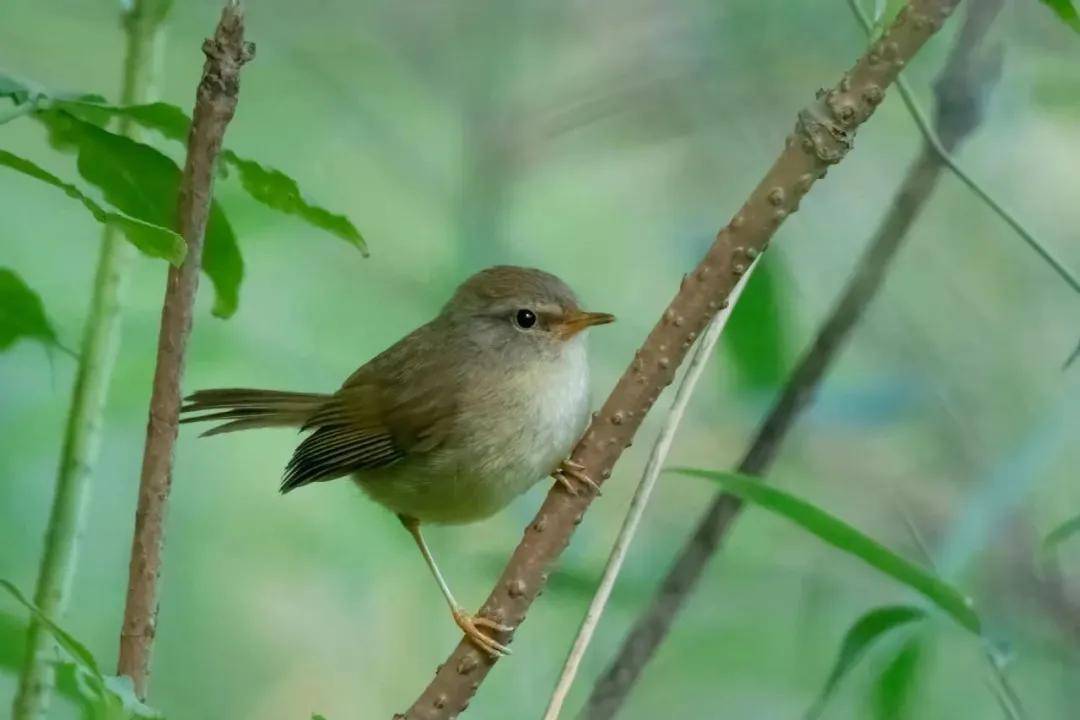 國際旅游攝影網(wǎng)2026年國內(nèi)外攝影路線全景指南