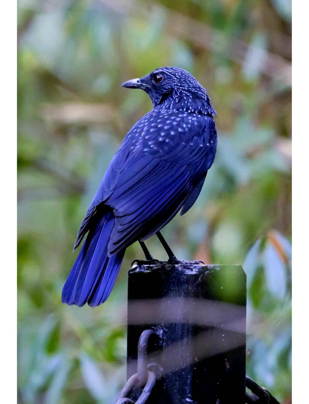 國際旅游攝影網(wǎng)2026年國內(nèi)外攝影路線全景指南