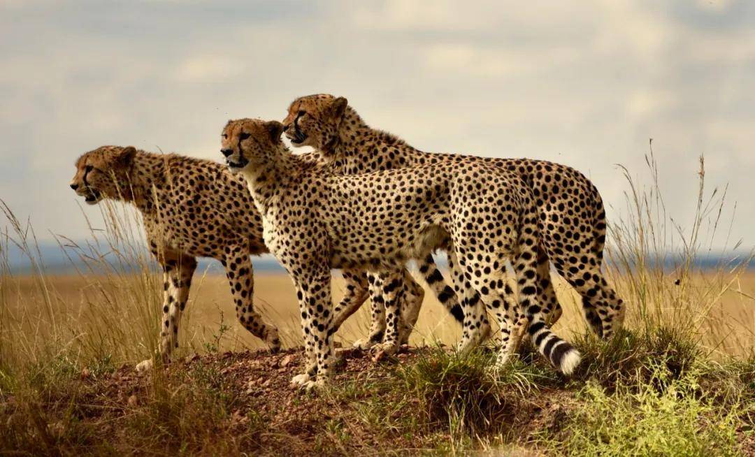 國際旅游攝影網(wǎng)2026年國內(nèi)外攝影路線全景指南