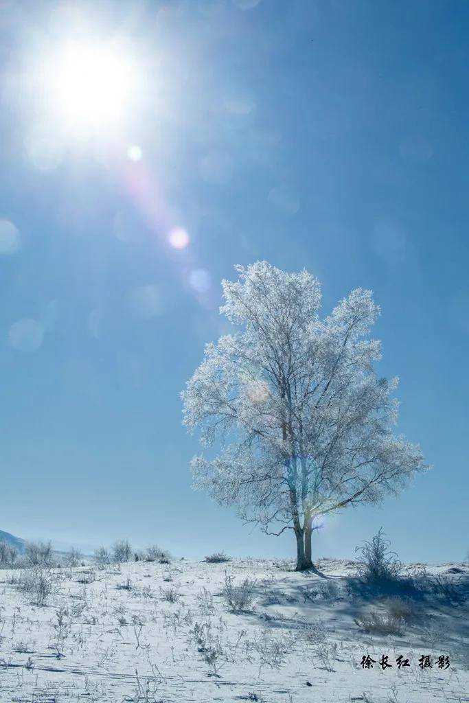 國際旅游攝影網(wǎng)2026年國內(nèi)外攝影路線全景指南