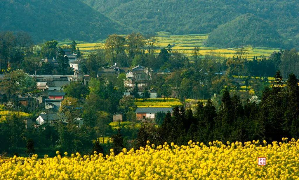 【國際旅游攝影網(wǎng)】推薦住宿羅平螺絲田旭升客棧