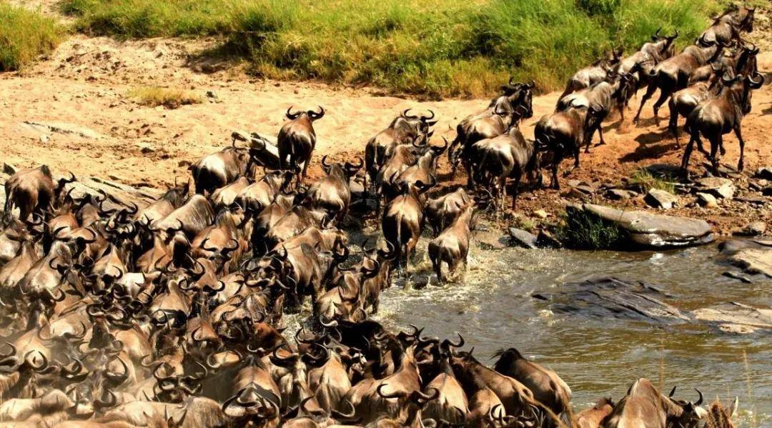 國際旅游攝影網(wǎng)2026年國內(nèi)外攝影路線全景指南