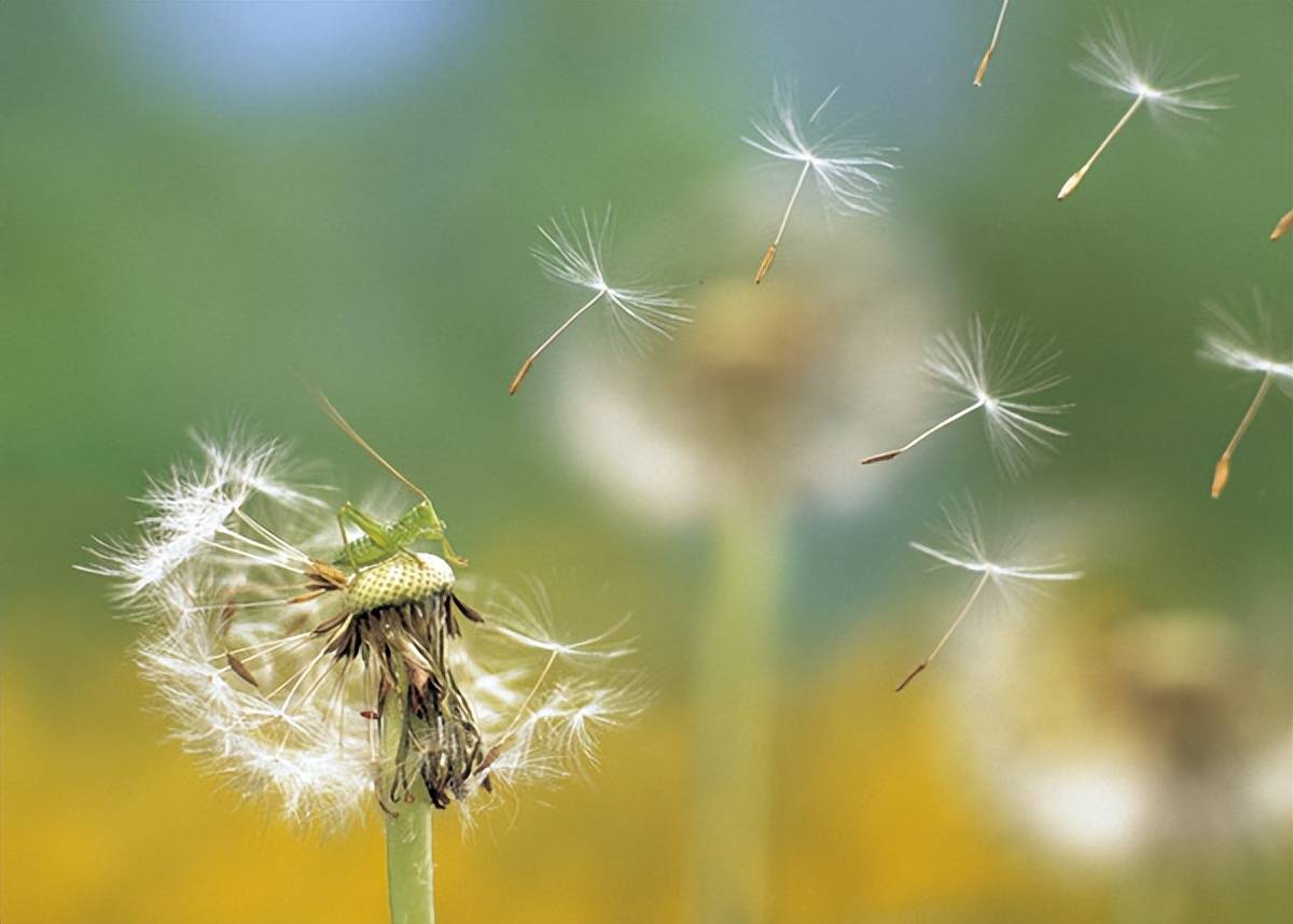 原創(chuàng)教育真正的溫度，藏在AI無法抵達(dá)的角落