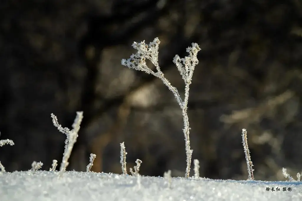 國際旅游攝影網(wǎng)2026年國內(nèi)外攝影路線全景指南